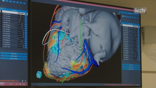 Ordensklinikum 3D-Herz